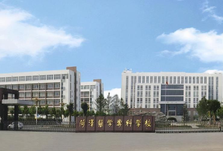 大专可以学中医的都有哪些学校