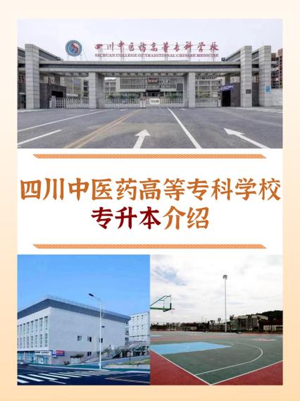 专科学中医去哪所学校