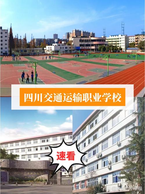 在四川读交通运输管理专业可以去哪些学校