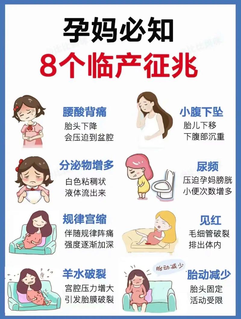 谁能告诉我助产和护理哪个专业比较好