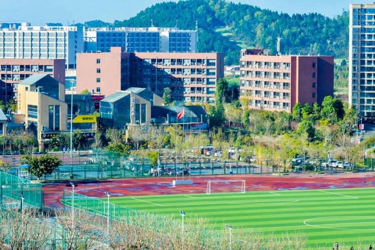 四川科技职业学院在眉山还是成都