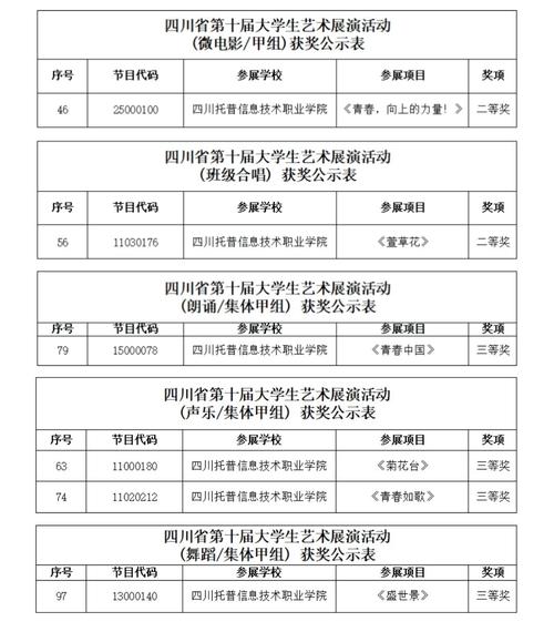四川托普是公办还是民办