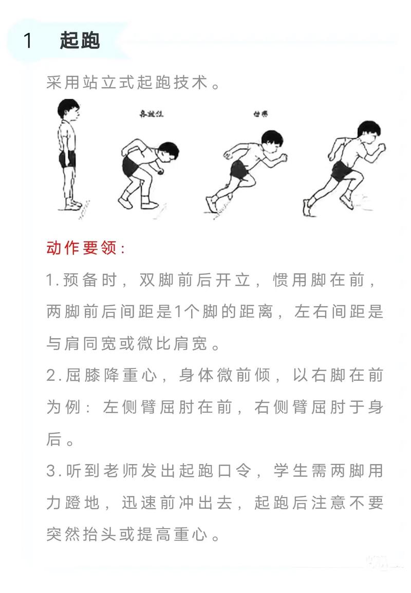 即将中考体育,如何进行锻炼