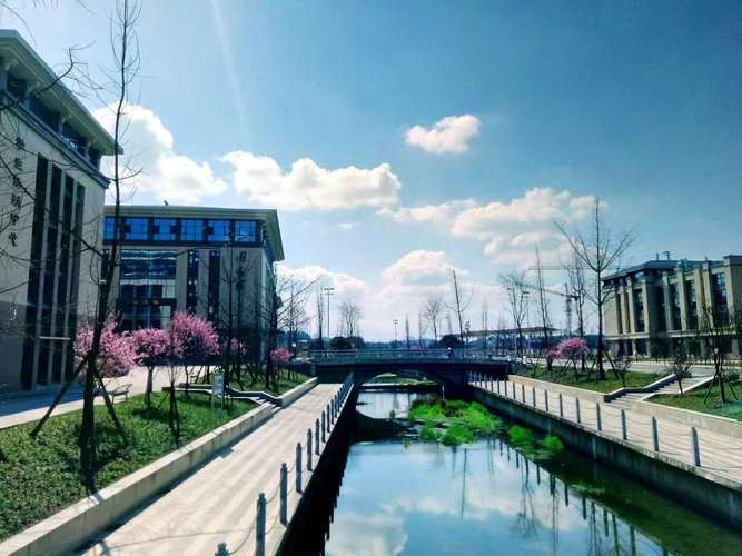 眉科院校是什么意思