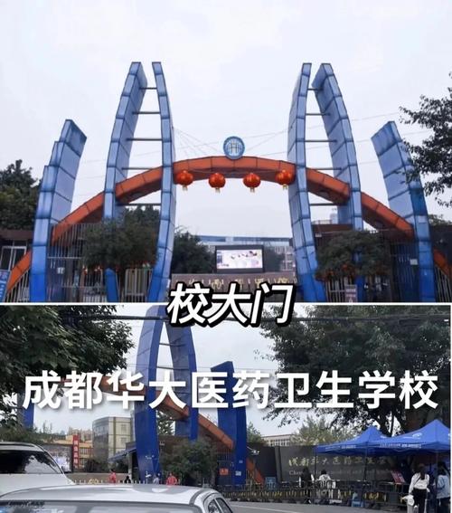 华大卫校是民办还是公办
