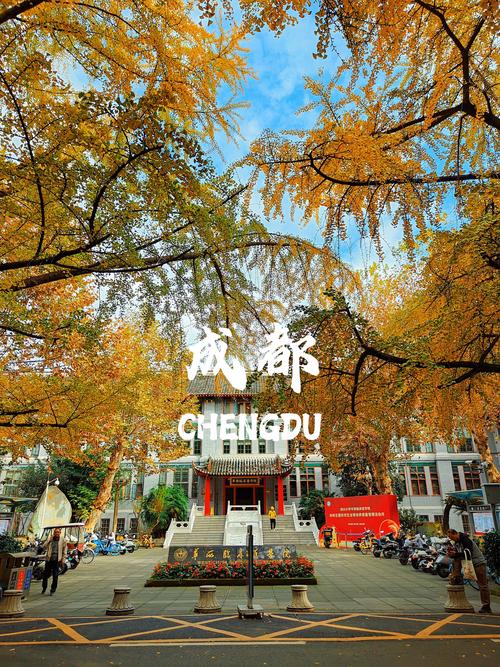 成都华大是什么大学
