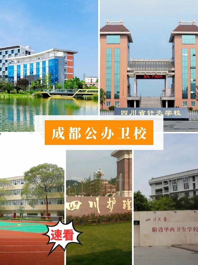 成都那些卫校好