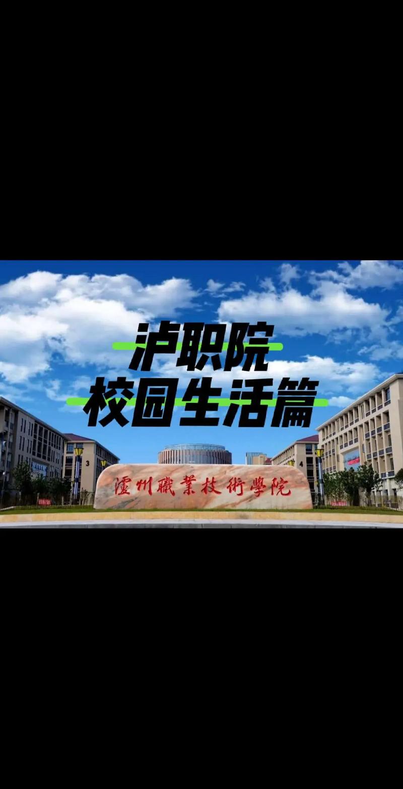 泸州职业技术学院是公办还是民办
