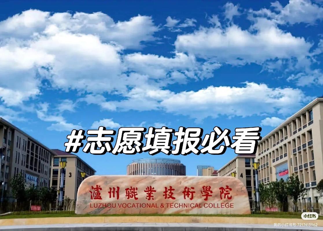 泸州职业技术学校是公办还是民办