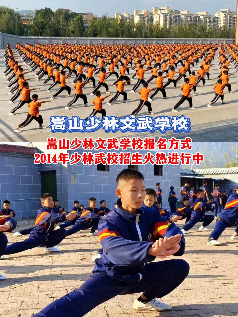 河南省武校都有哪些
