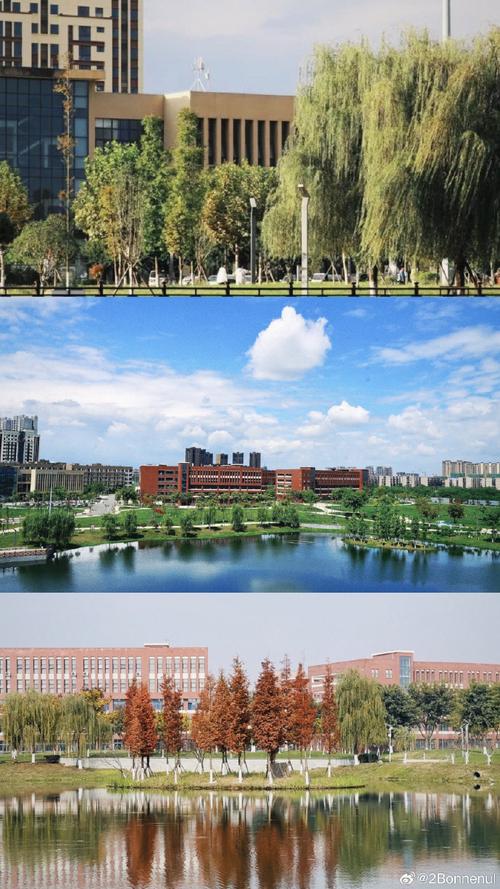 德阳交院是公办还是民办