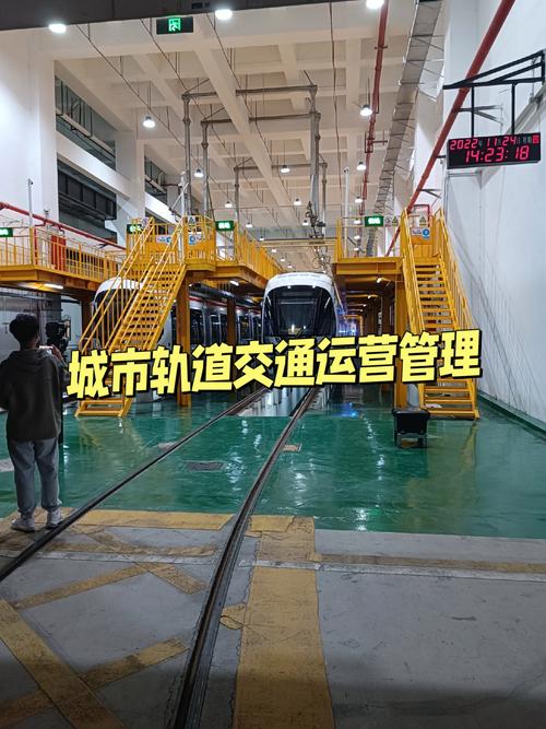城市轨道运输管理属于什么类型的专业